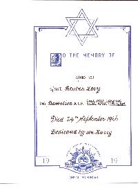 Book of Remembrance for Levy